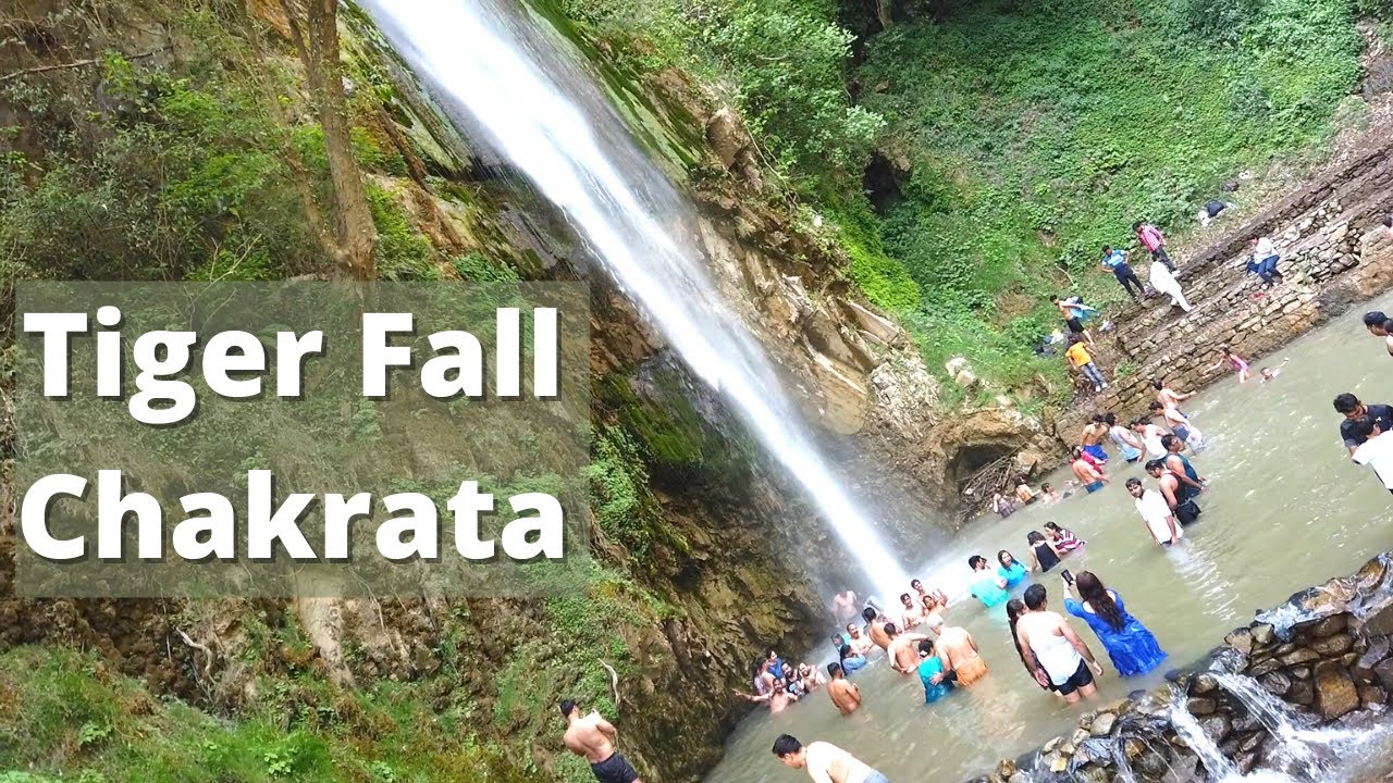 The Majestic Tiger Falls: Nature’s Hidden Gem